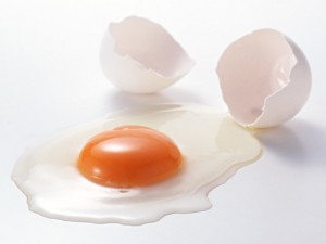 風邪に効く　食べ物　食材　卵