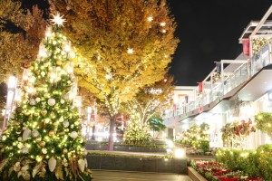 クリスマス　デート　おすすめ　スポット　名古屋　星が丘テラス